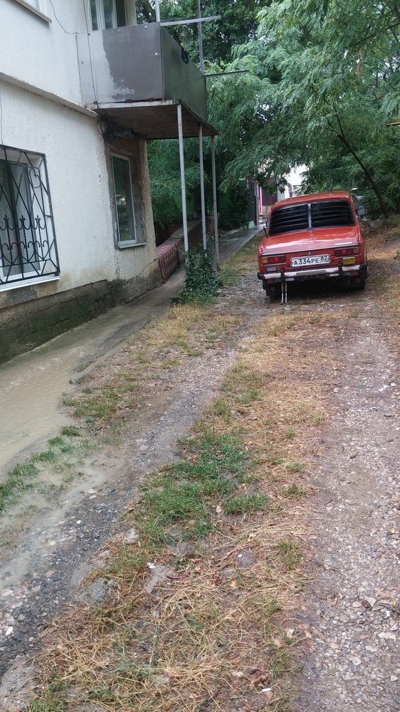 Photo #3692774