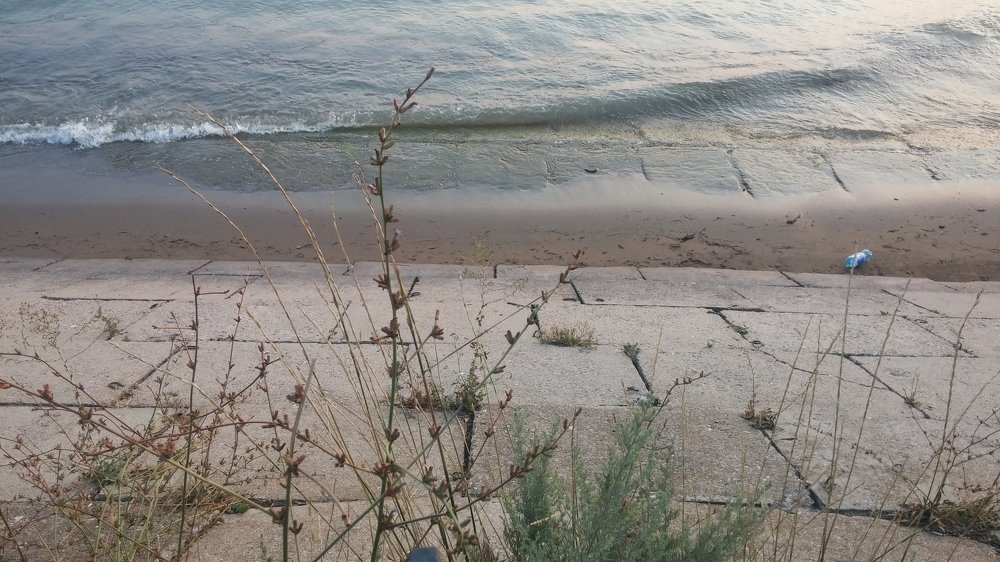 Photo #3692791