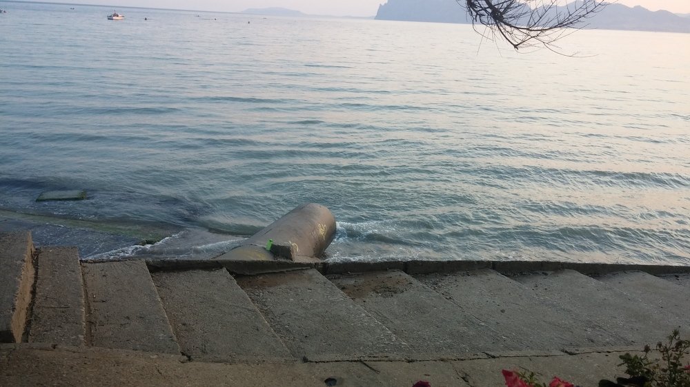 Photo #3692803