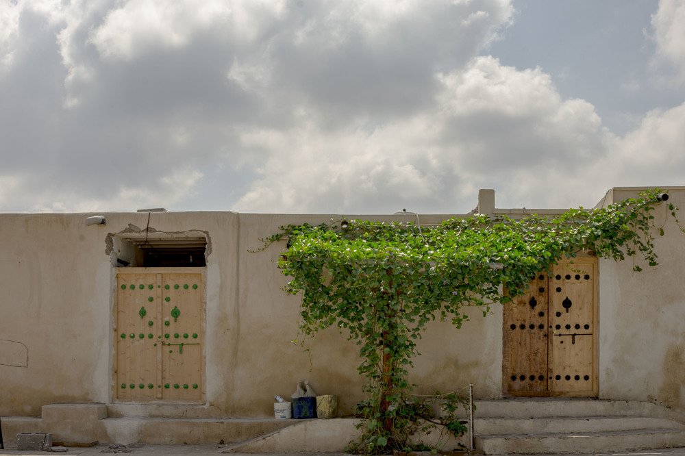 Фотография автора tayebe karimi
