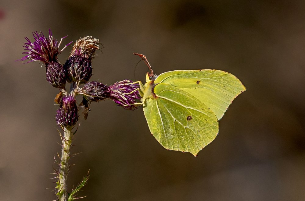 Photograph by Dag Hafstad