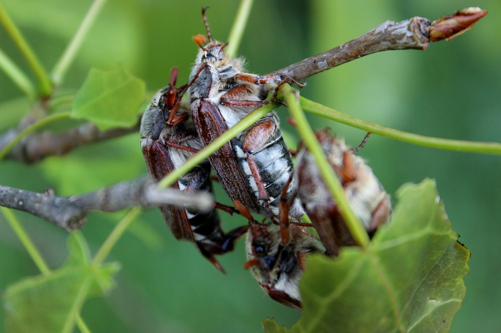 Photograph by Наталья Кузнецова