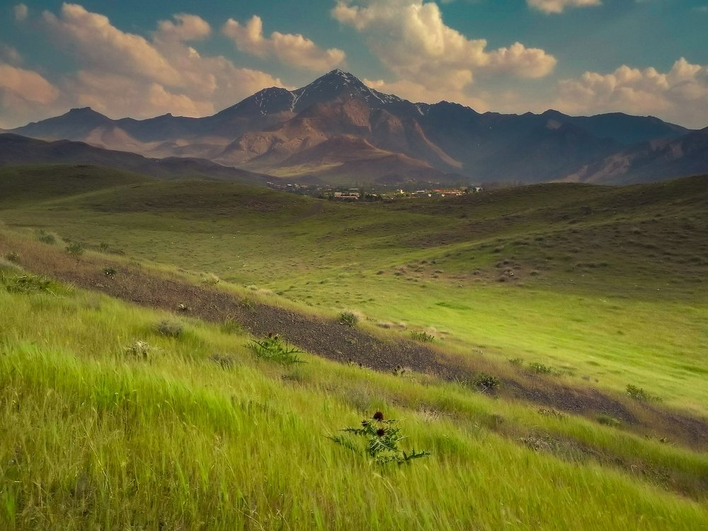 Photograph by ali yeganeh