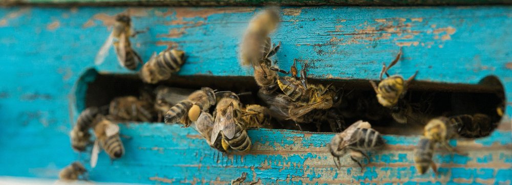 Photograph by Мария Чуйкова