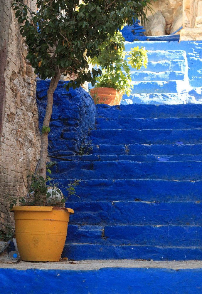 Photograph by Светлана Кавказская