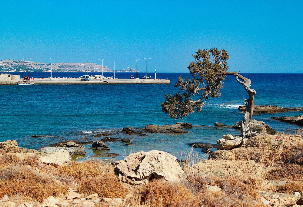 Photograph by Светлана Кавказская