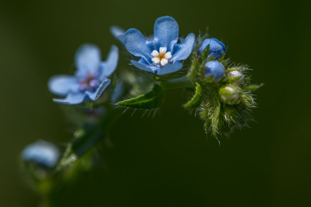 Photograph by Владимир Пронин
