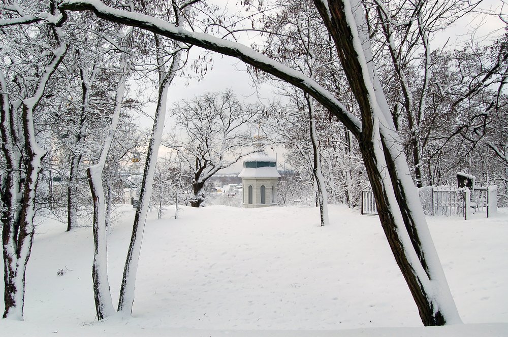 Photograph by Елена Куннова