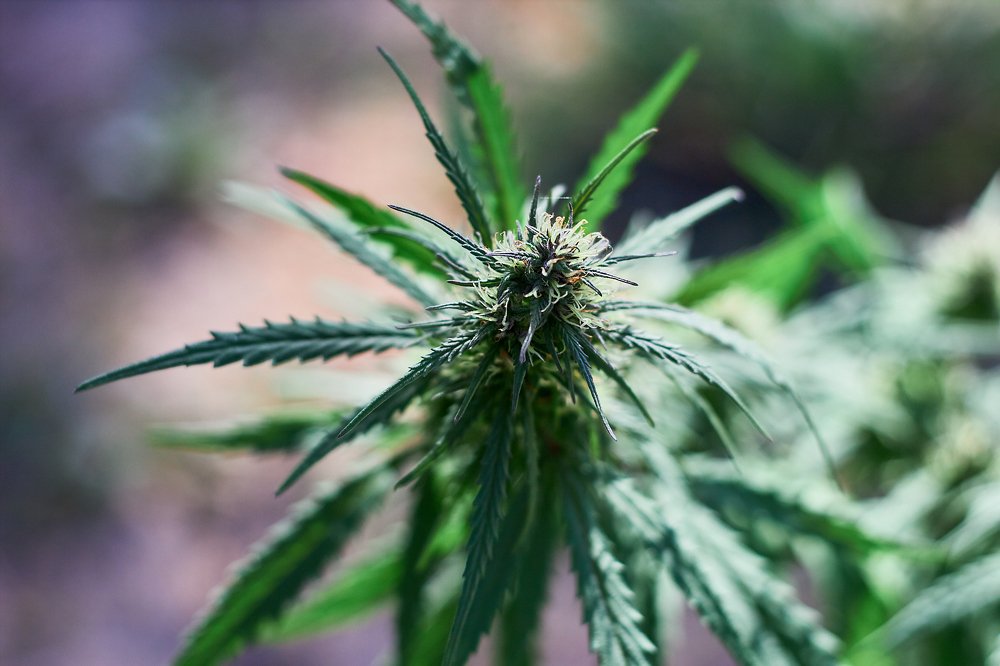 Photograph by Алексей Полухин