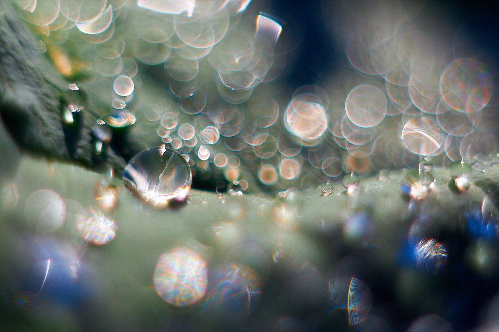 Photograph by Алексей Полухин