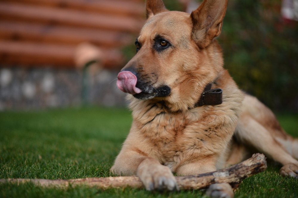 Photograph by Наталья Кошевая