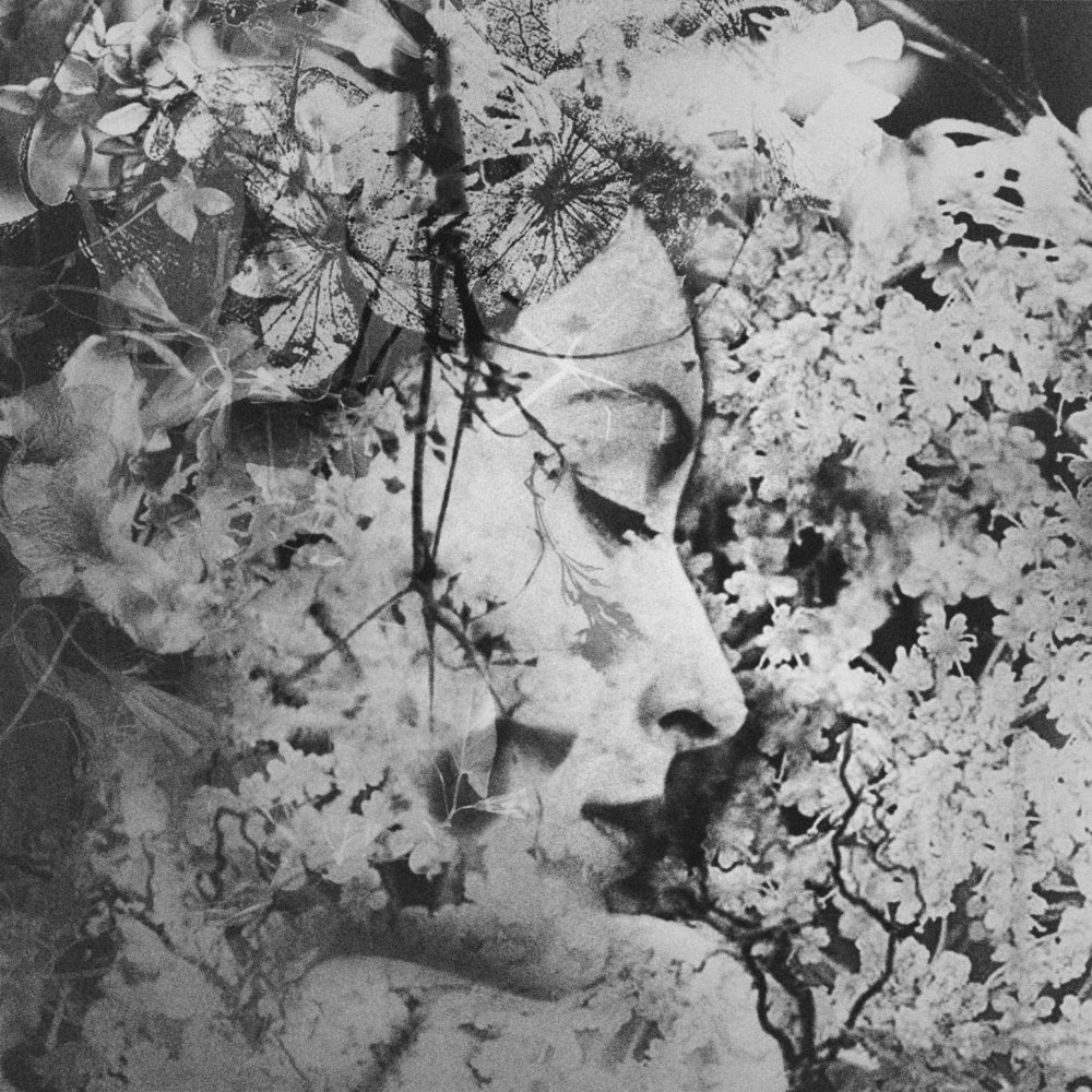 Photograph by Анна Дэйви