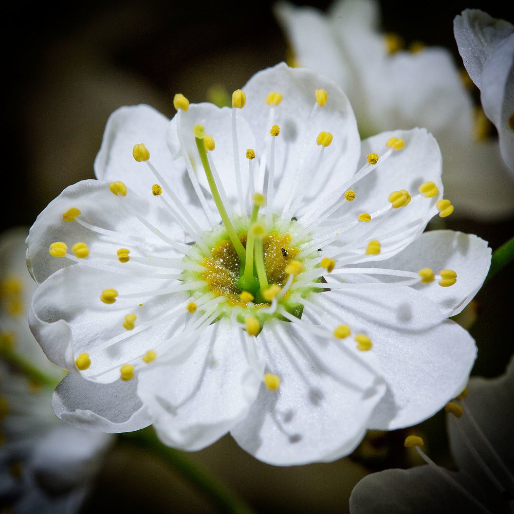 Photograph by Иван Мороз