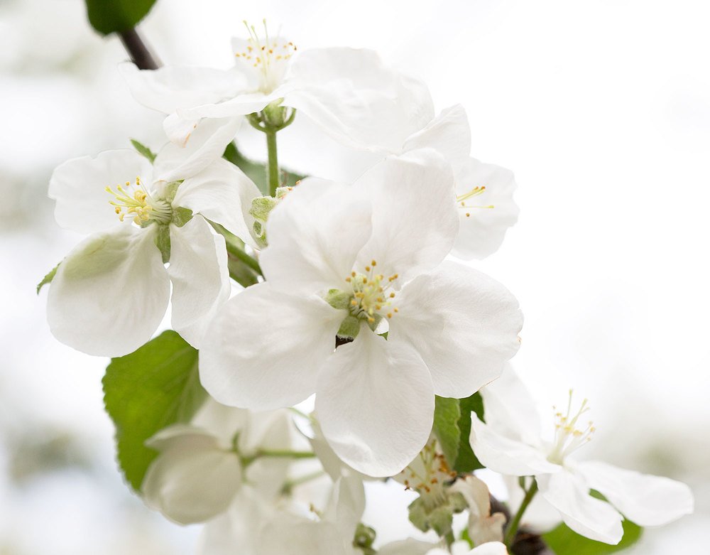 Photograph by Иван Мороз