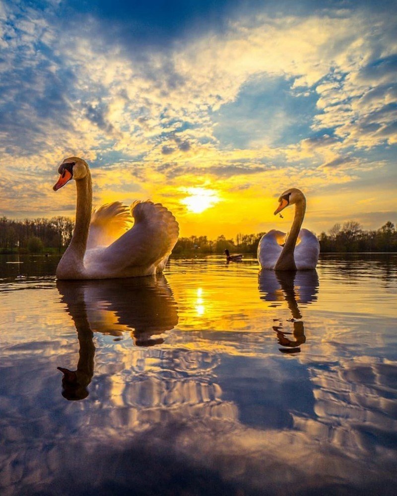 Photograph by Ольга Рогова