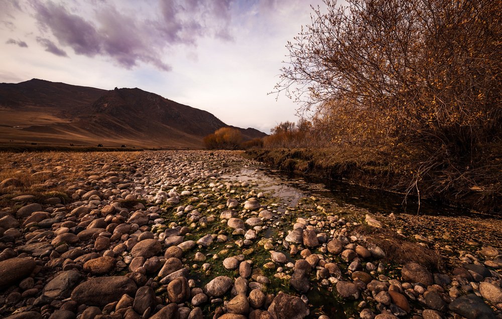 Photograph by Nasagdorj