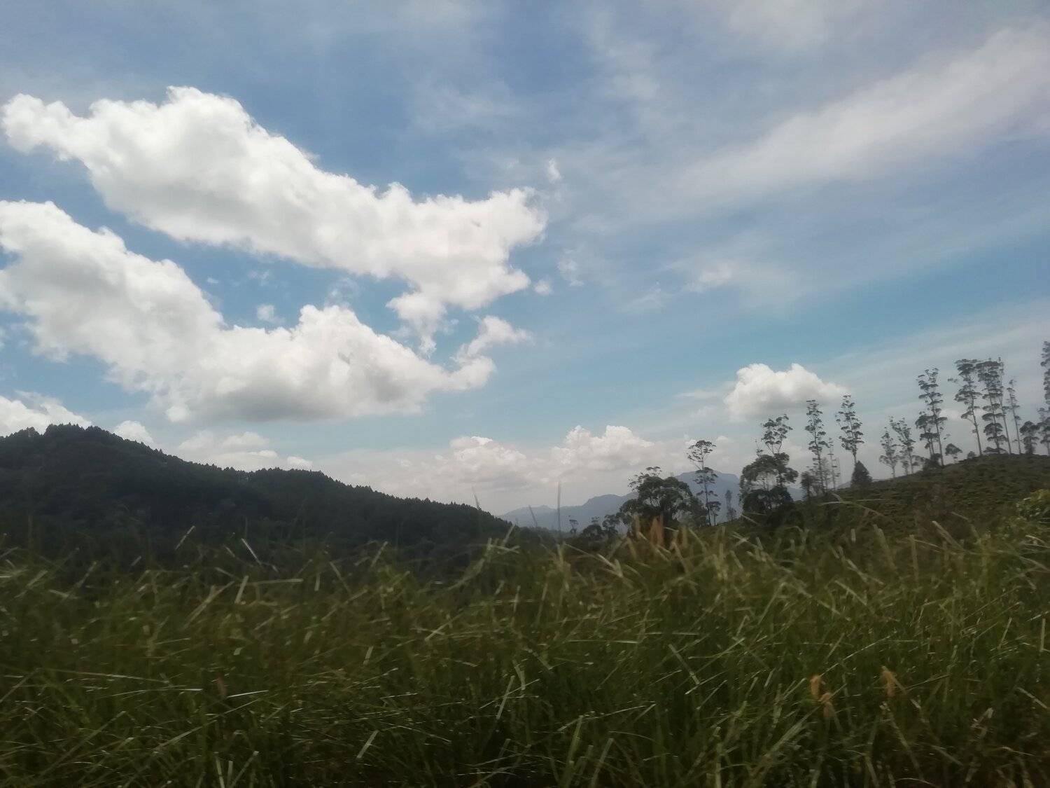 Mountain Range