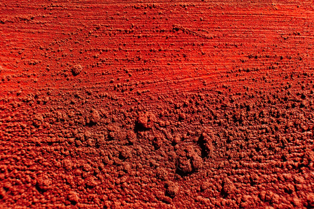 Фотография автора Анна Рыжкова