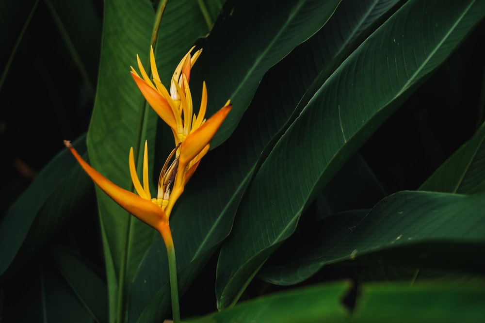 Фотография автора Анна Рыжкова