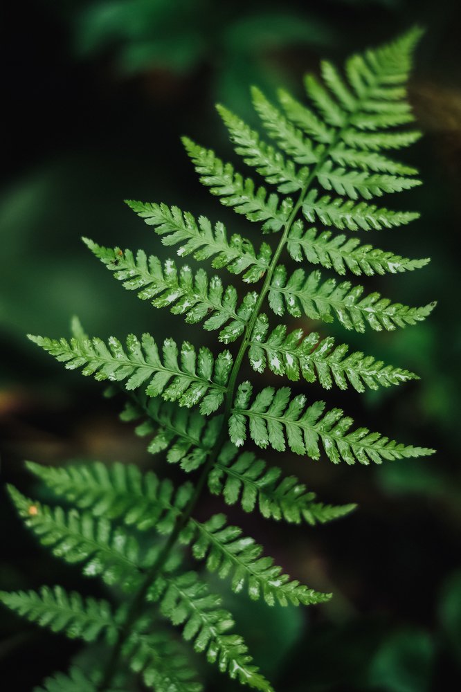 Фотография автора Анна Рыжкова