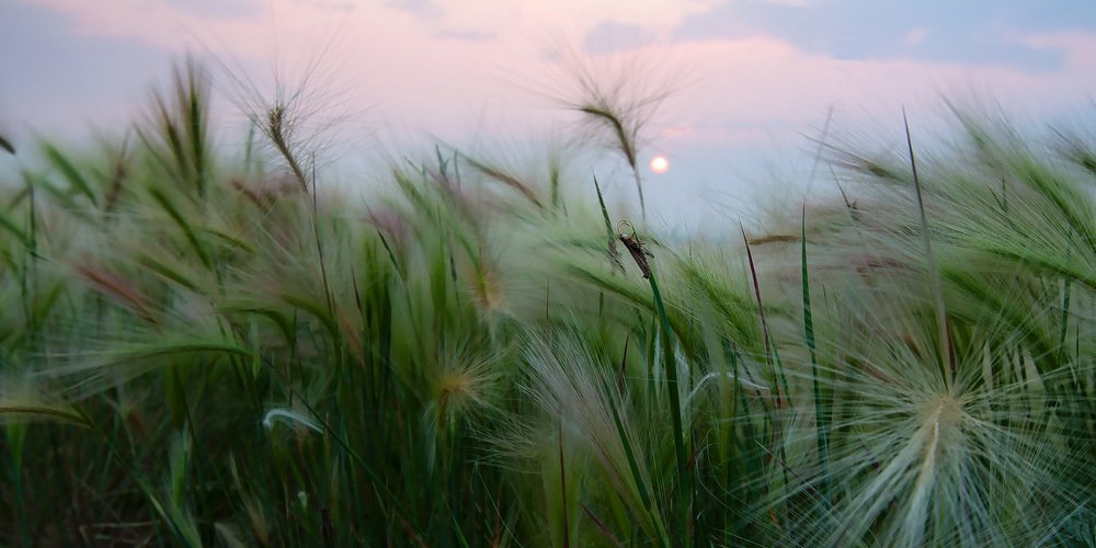 Вот и еще день прошел...