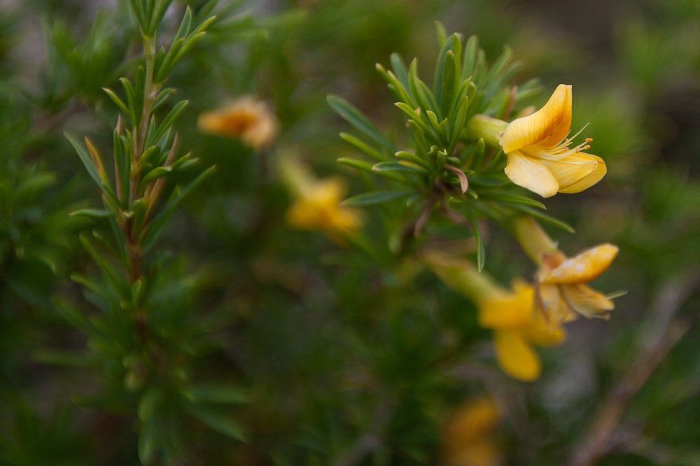 Photograph by Олег Тетерин