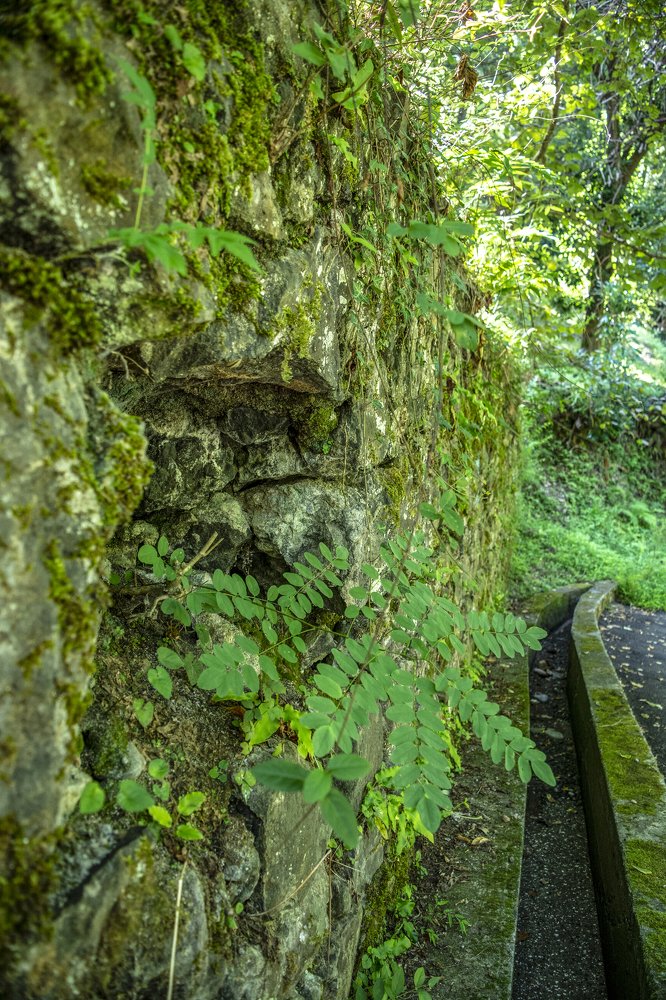 Photograph by vladimir khukhunalshvili