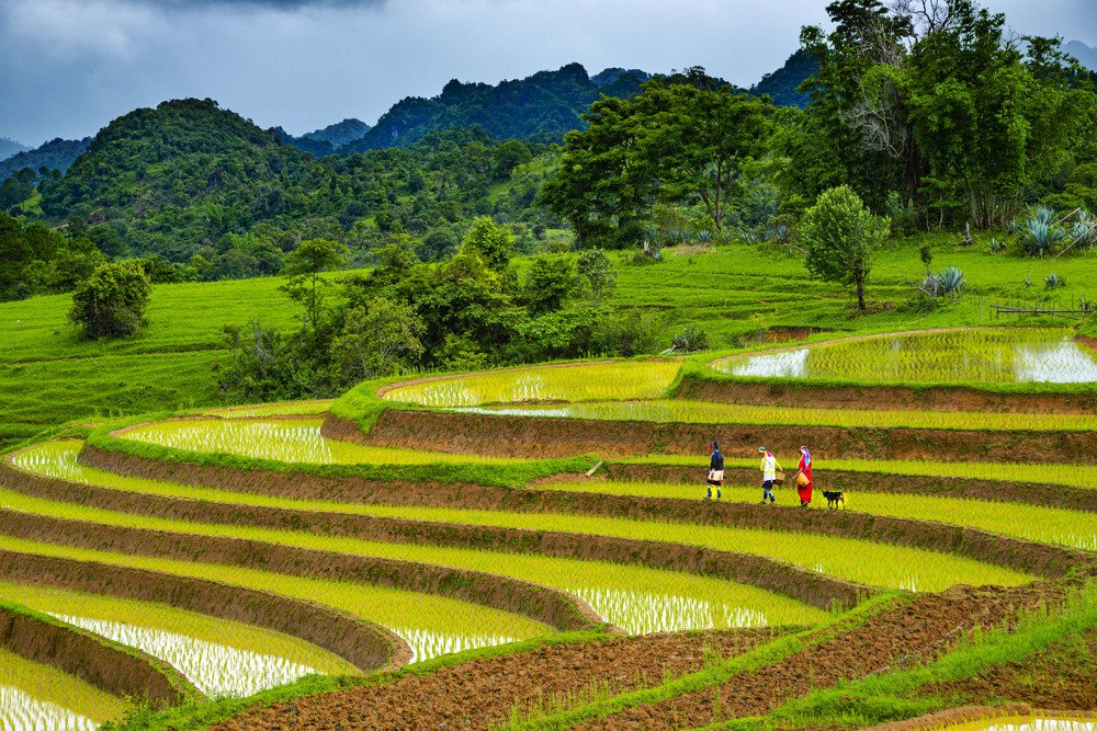 Photograph by Phyo Moe