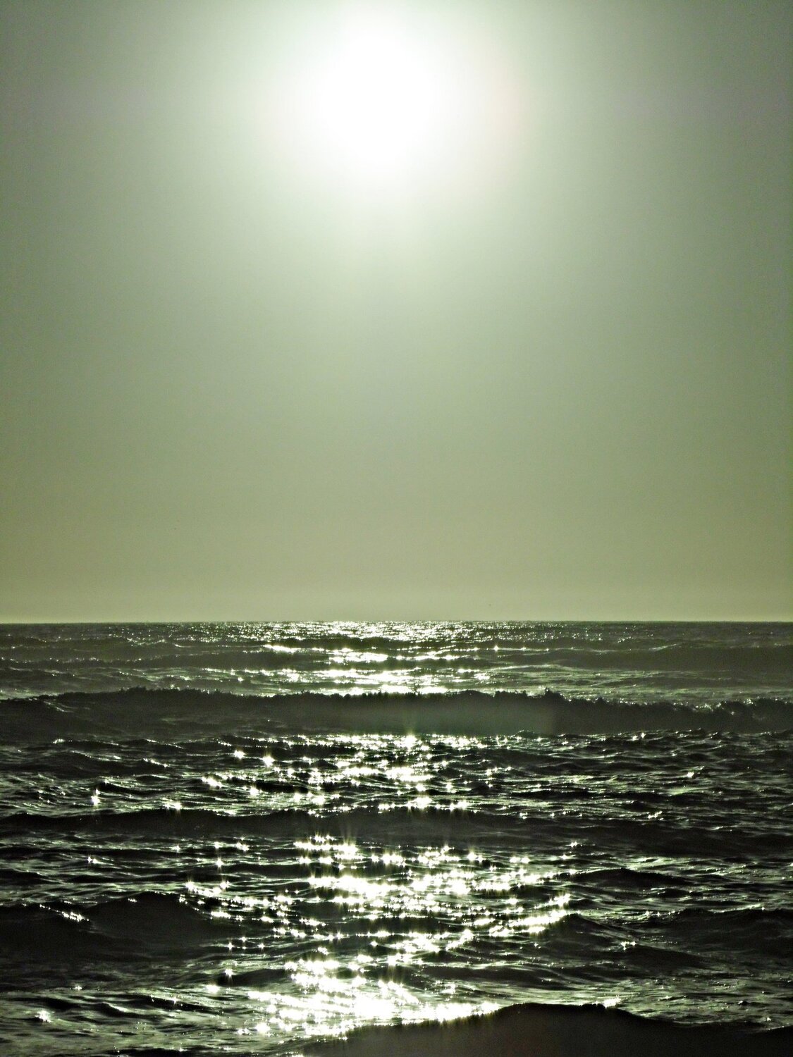 Photo #3693526