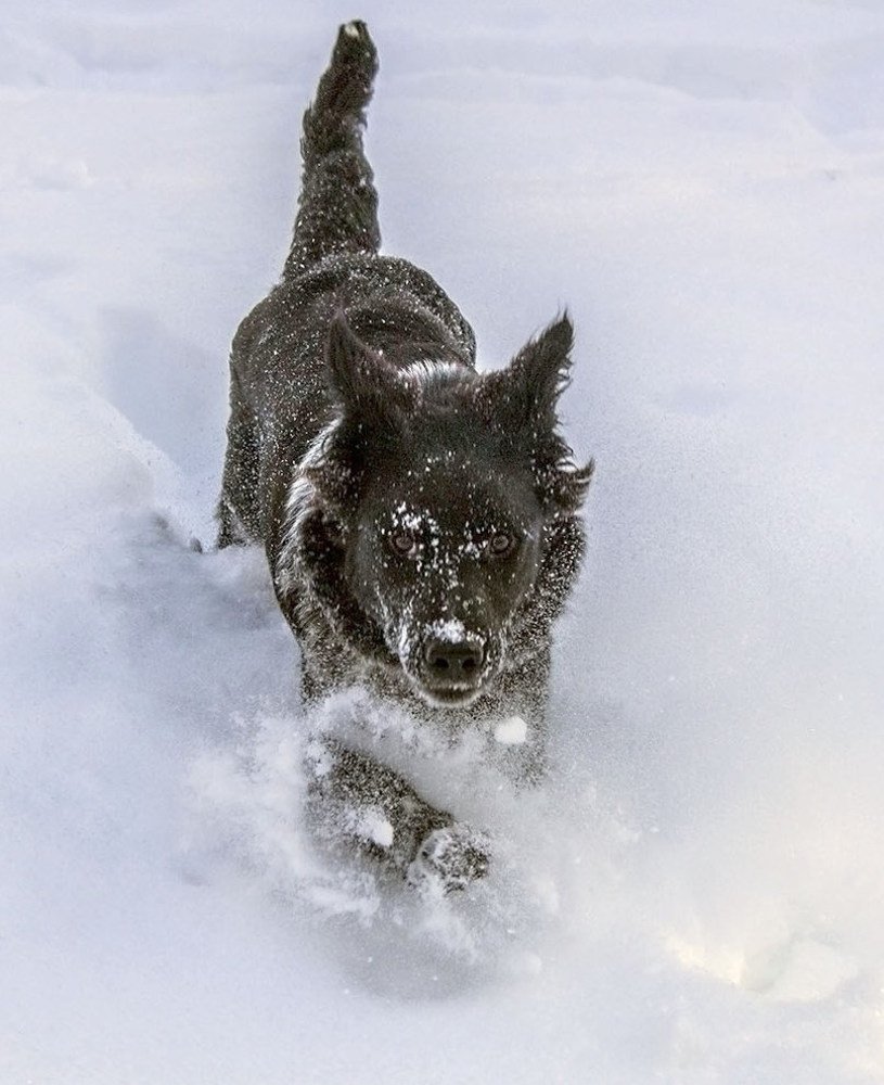 Photograph by Елена Белинская