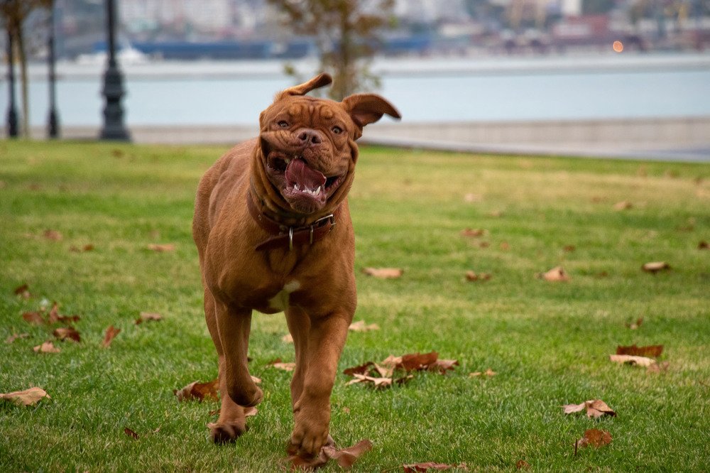 Photograph by Владимир Журавлев