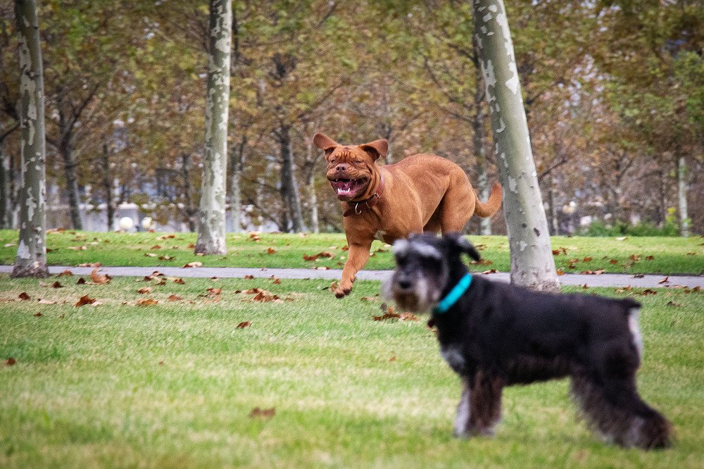 Шани улыбается))