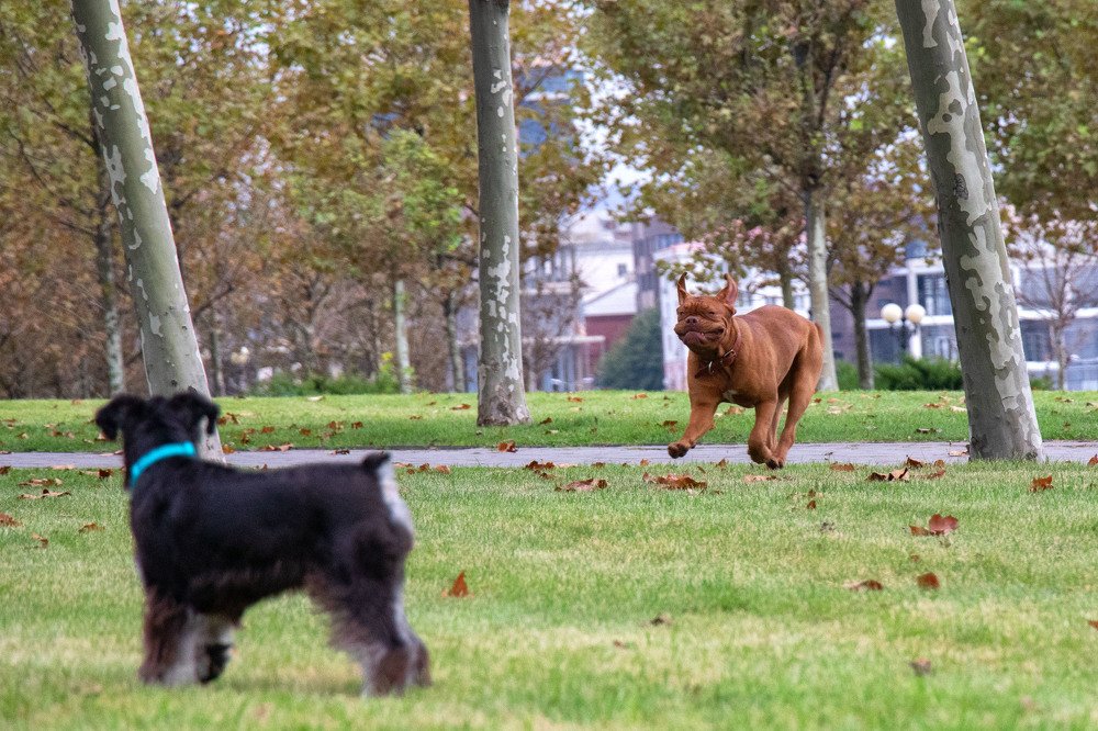 Photograph by Владимир Журавлев
