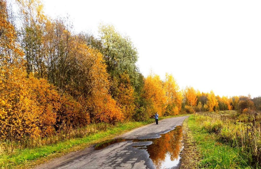 Photograph by Валентина Смирнова