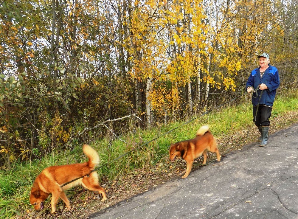 Photograph by Валентина Смирнова