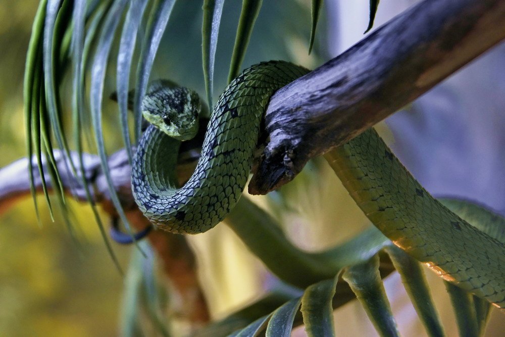 Photograph by Сергей Сёмин