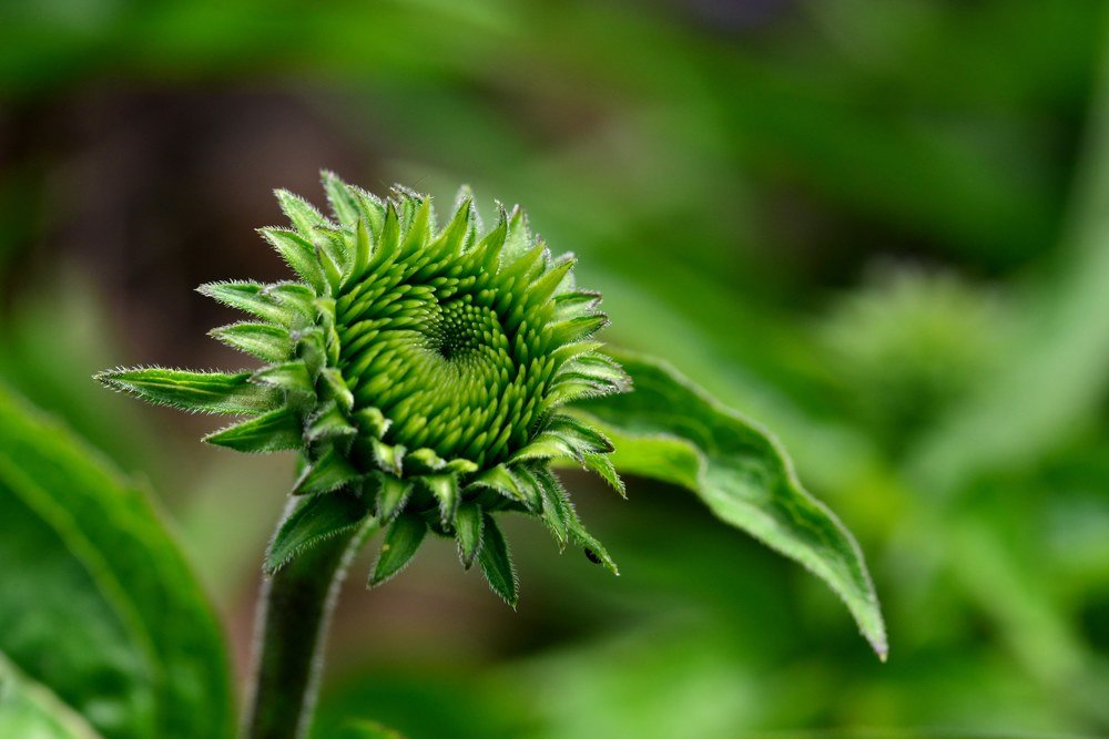 Photograph by Сергей Сёмин