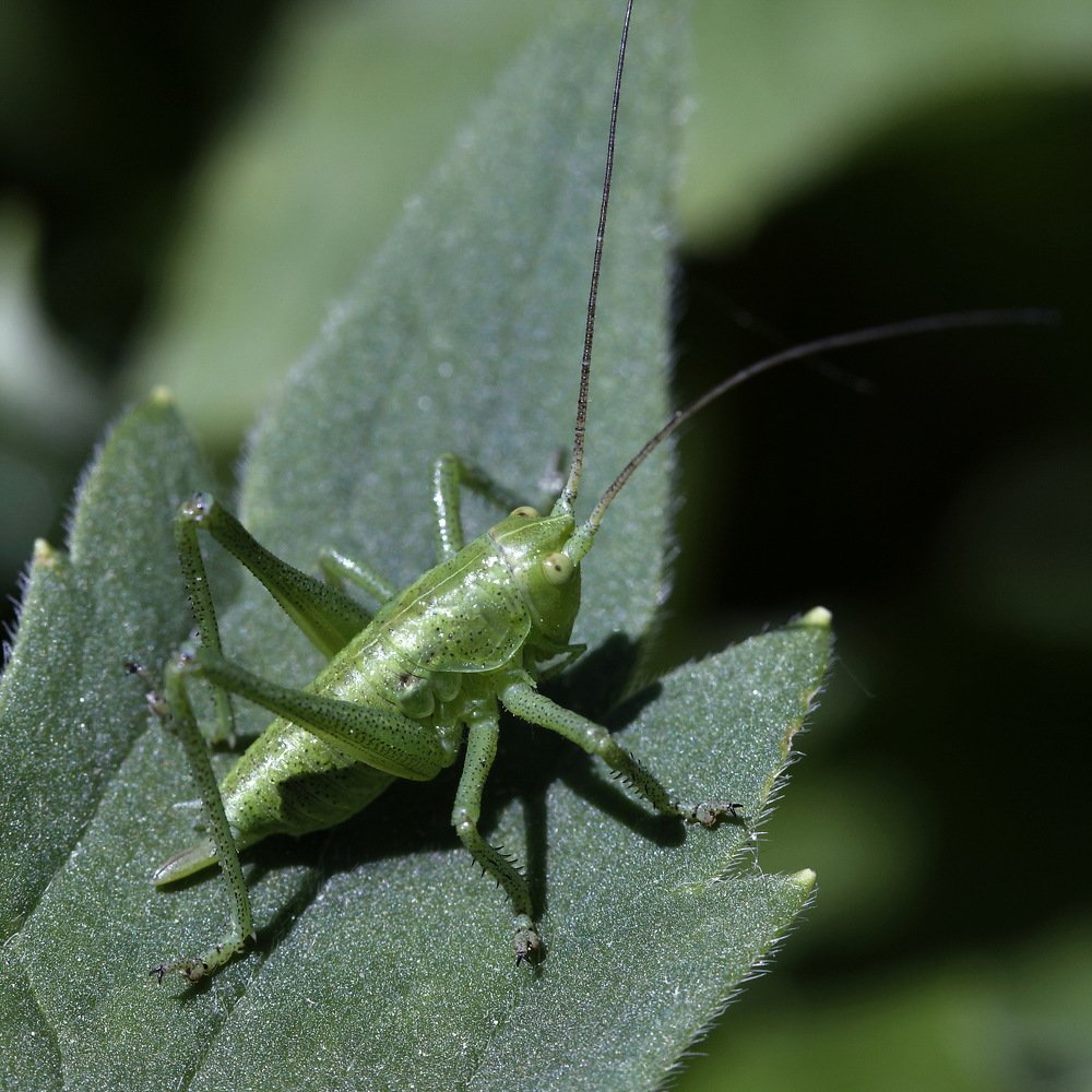 Photograph by Сергей Сёмин
