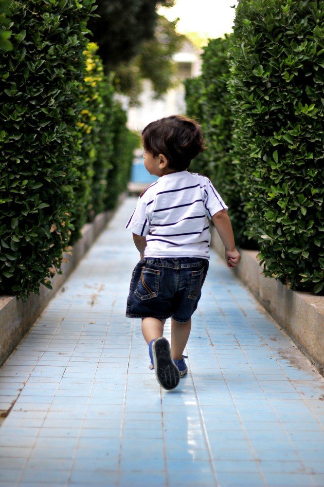 Photograph by Farzin Jafari