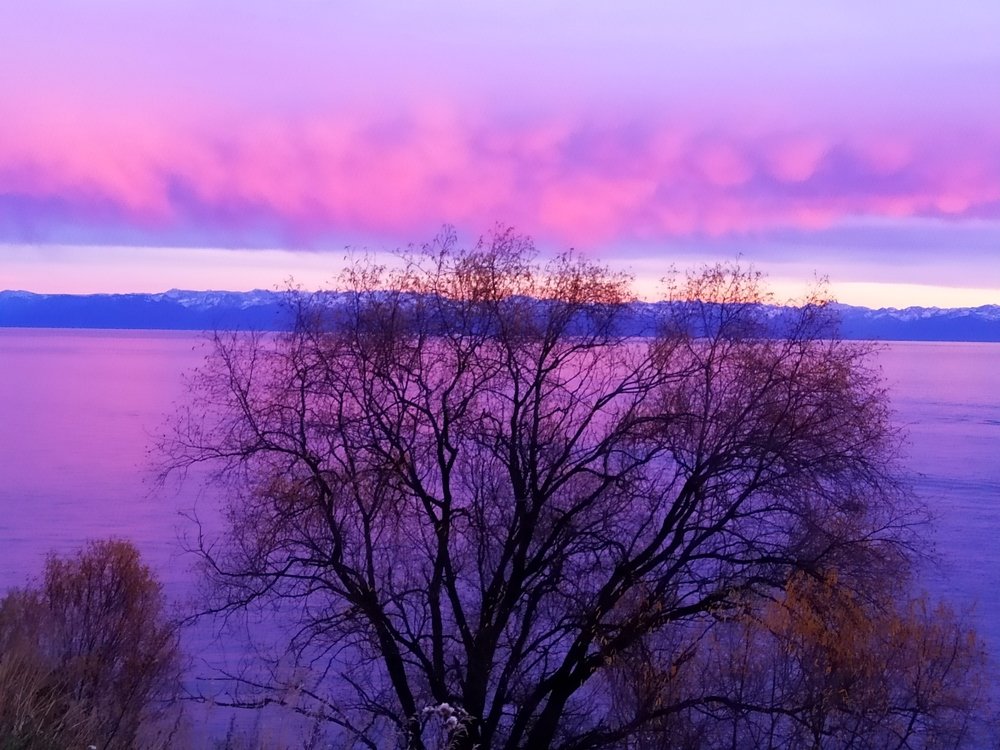 Розовый мир