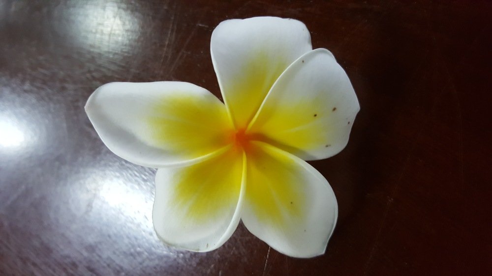 Photo #3693796