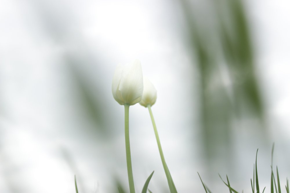 Photograph by Вячеслав Атаманов