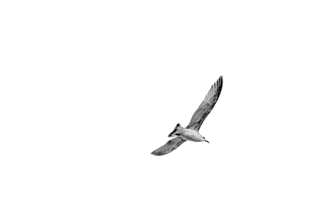 Photograph by Morteza Hekmat Maram