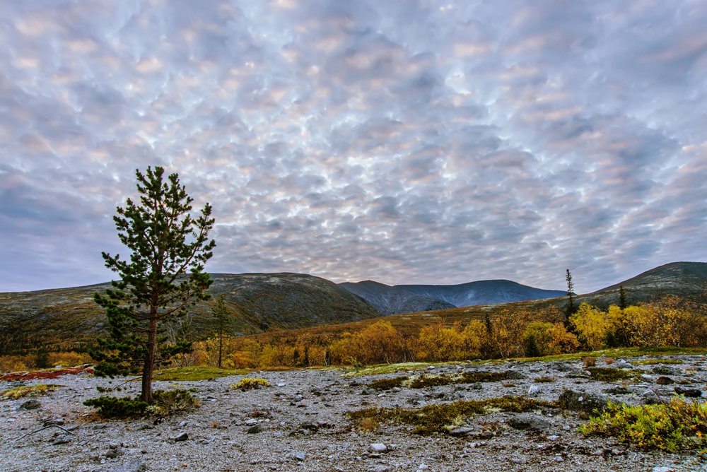 Photograph by Sergey Starostin