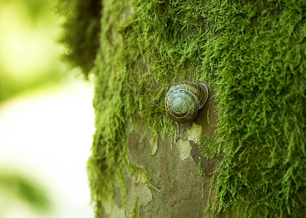 Фотография автора Ирина Войнова