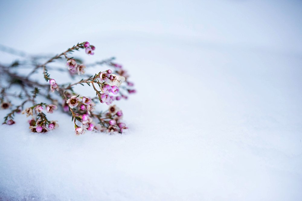 Фотография автора Ирина Войнова