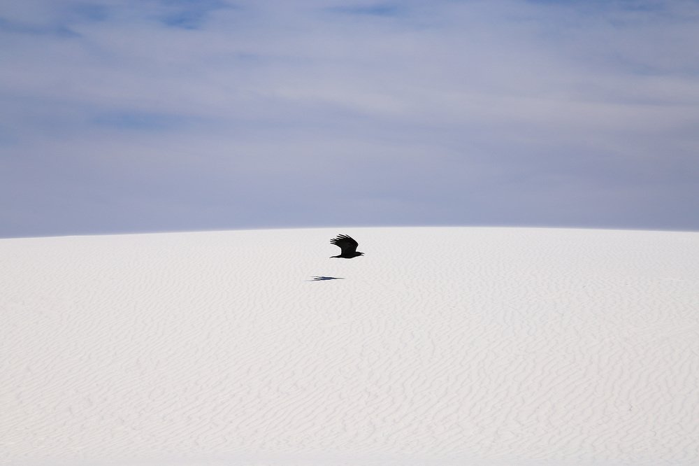 White sands