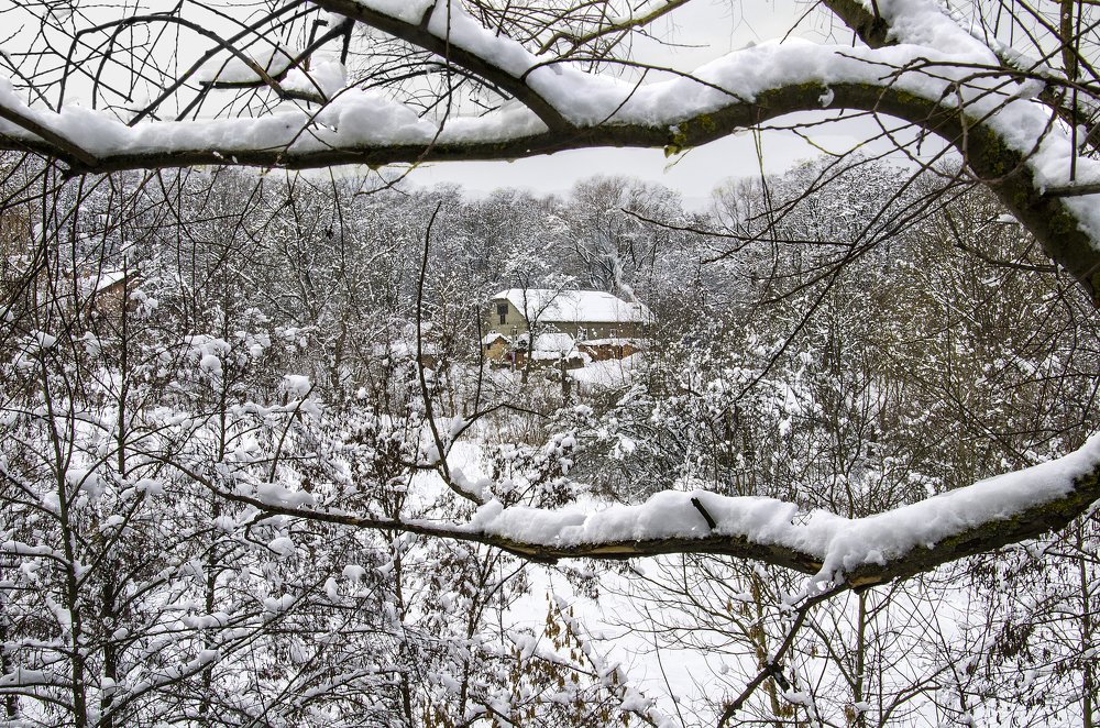 Домик лесника.
