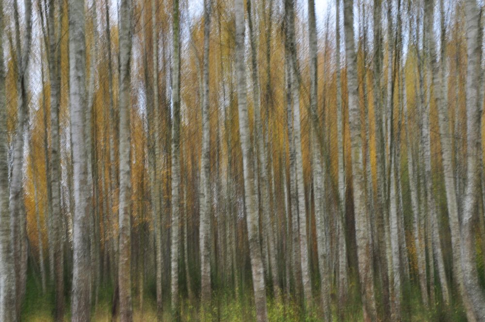 Фотография автора Коротков Алексей