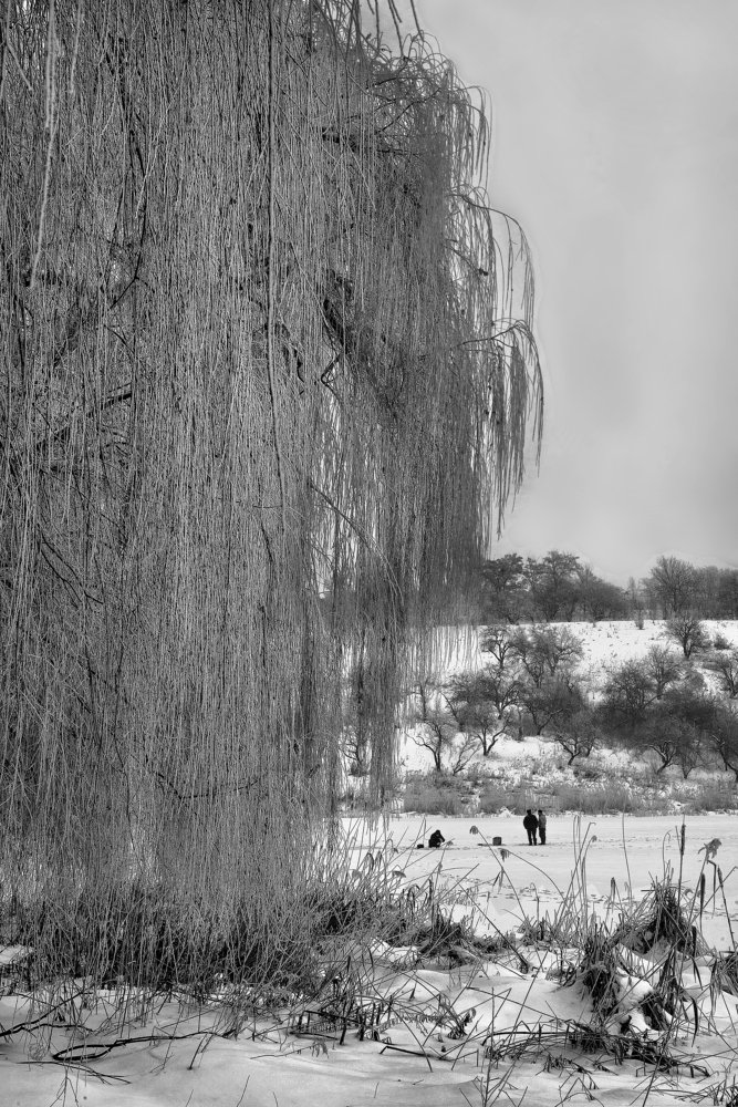 Зимняя рыбалка.